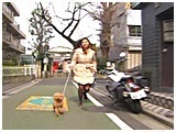 AbNX 傤̂ ʐ^3