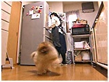 eBeB 傤̂ ʐ^3