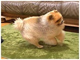 eBeB 傤̂ ʐ^4