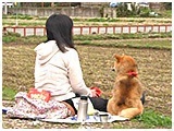メリー きょうのわんこ 写真5