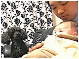 エレン きょうのわんこ 写真4