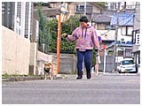 力 きょうのわんこ 写真5