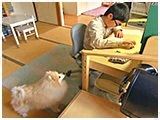 マテウスロゼ きょうのわんこ 写真4