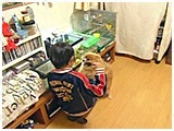 みう きょうのわんこ 写真4