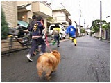 みう きょうのわんこ 写真5