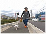 メル きょうのわんこ 写真3