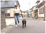 芽生(めい) きょうのわんこ 写真4