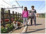 フラン きょうのわんこ 写真3