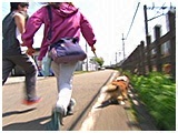 フラン きょうのわんこ 写真4