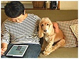 すぅー きょうのわんこ 写真2