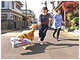 ロッキー きょうのわんこ 写真5