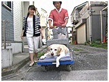デイジー きょうのわんこ 写真4
