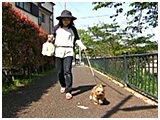 らみ きょうのわんこ 写真5