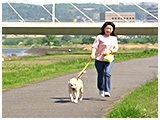 真央 きょうのわんこ 写真5