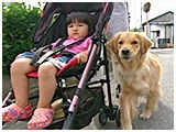 シナモン きょうのわんこ 写真2