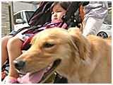 シナモン きょうのわんこ 写真3