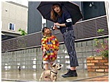 リボン きょうのわんこ 写真4