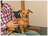 茶太郎 きょうのわんこ 写真2