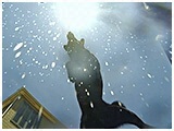 ここあ きょうのわんこ 写真5