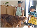 めい きょうのわんこ 写真3