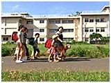 めい きょうのわんこ 写真4