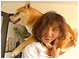 兼続 きょうのわんこ 写真4