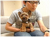 サータ きょうのわんこ 写真2