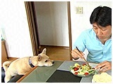 レン きょうのわんこ 写真4