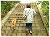 くうた きょうのわんこ 写真3