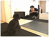 めい きょうのわんこ 写真4