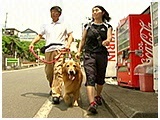ハル きょうのわんこ 写真2