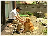 ハル きょうのわんこ 写真5