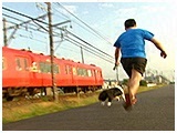 咲良(さくら) きょうのわんこ 写真4