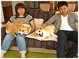 メルモ きょうのわんこ 写真2