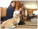 みみ きょうのわんこ 写真5
