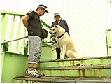アッキー きょうのわんこ 写真4