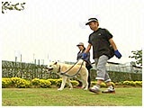 アッキー きょうのわんこ 写真5