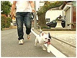 ほたる きょうのわんこ 写真2
