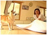 ゆゆこ きょうのわんこ 写真4