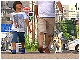 タンク きょうのわんこ 写真5