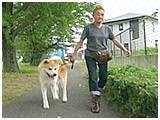 りょう きょうのわんこ 写真3