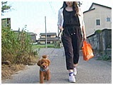 のすけ きょうのわんこ 写真2