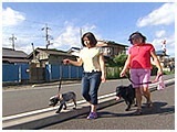 もこ きょうのわんこ 写真5