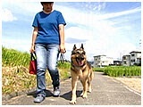 フラム きょうのわんこ 写真2