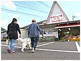 えくぼ きょうのわんこ 写真3