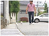 チロル きょうのわんこ 写真3