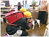 ジャック きょうのわんこ 写真3