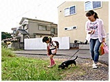 もも きょうのわんこ 写真5
