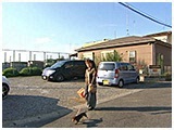 ぴな きょうのわんこ 写真5