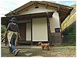 ダダ きょうのわんこ 写真3